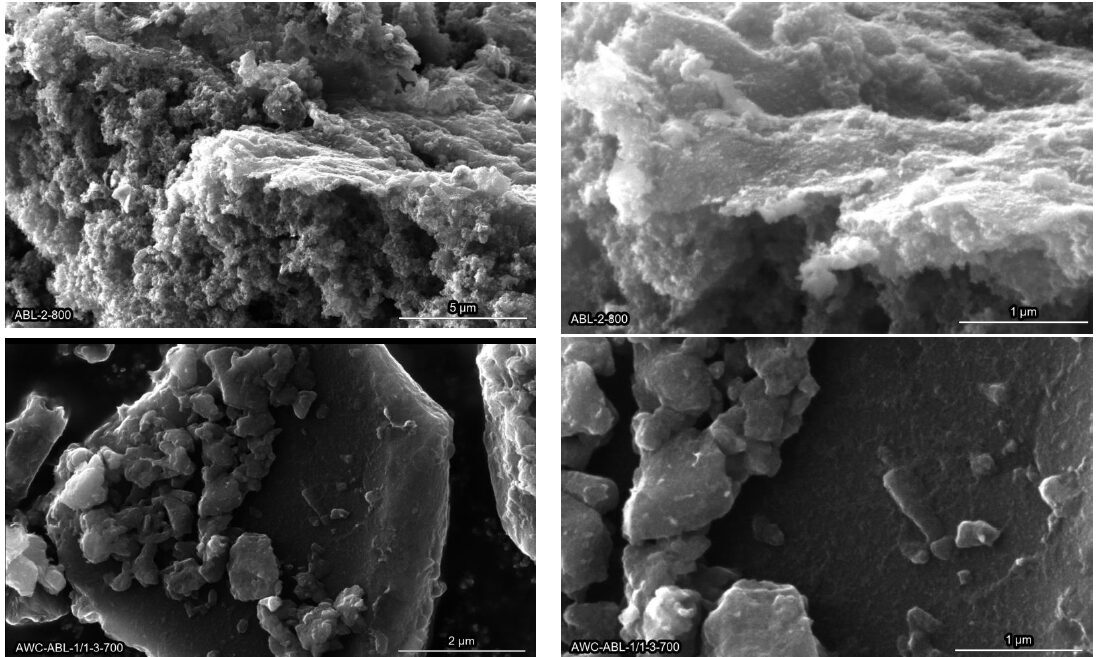 Understanding what makes sustainable carbon materials perform